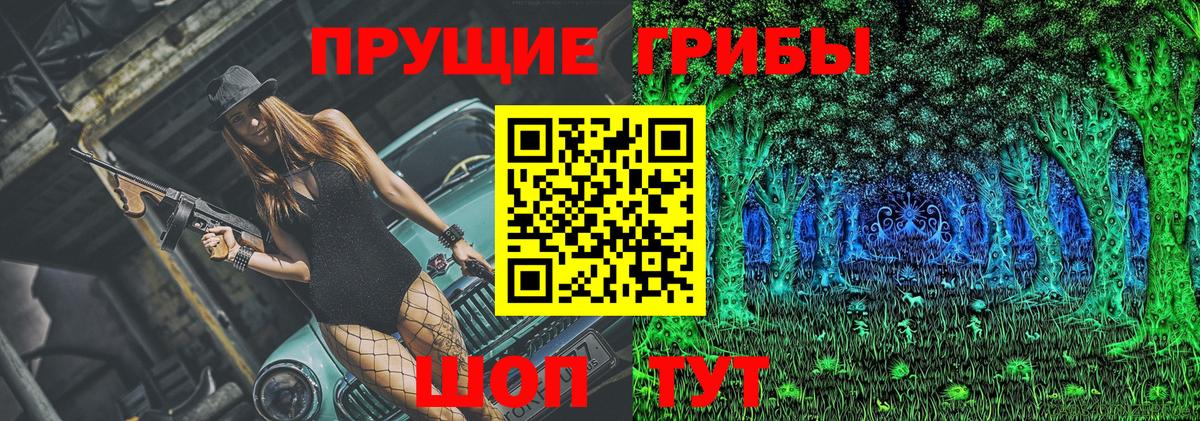 Галлюциногенные грибы мицелий  Вход с VPN  Дивногорск 